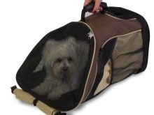 Сумка-переноска для собак дрібних порід: кенгуру, рюкзак, слінг і інші види сумок для маленьких собачок, рекомендації з вибору