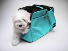 Сумка-переноска для собак дрібних порід: кенгуру, рюкзак, слінг і інші види сумок для маленьких собачок, рекомендації з вибору