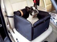 Сумка-переноска для собак дрібних порід: кенгуру, рюкзак, слінг і інші види сумок для маленьких собачок, рекомендації з вибору