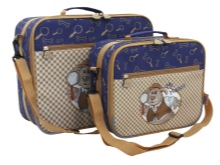 Сумка-валіза (69 фото): великі багажні сумки для переїзду, перевезення речей, жіночий валізку