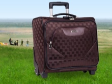 Сумка-валіза (69 фото): великі багажні сумки для переїзду, перевезення речей, жіночий валізку