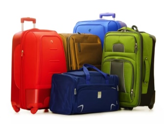 Сумка-валіза (69 фото): великі багажні сумки для переїзду, перевезення речей, жіночий валізку