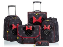 Сумка-валіза (69 фото): великі багажні сумки для переїзду, перевезення речей, жіночий валізку