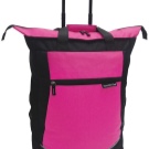 Сумка-валіза (69 фото): великі багажні сумки для переїзду, перевезення речей, жіночий валізку