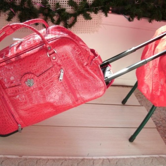 Сумки для подорожей (63 фото): жіночі і дитячі складні моделі-органайзери, маленькі зручні і великі