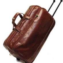 Сумки для подорожей (63 фото): жіночі і дитячі складні моделі-органайзери, маленькі зручні і великі