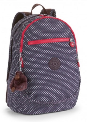 Сумки Kipling (59 фото): особливості моделей популярної фірми