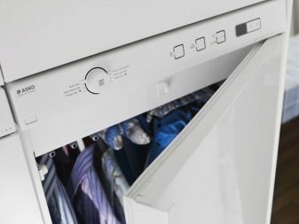 Сушильні шафи: вакуумні шафи для верхнього одягу та білизни, взуття та спецодягу, інші моделі в квартирі, їх ремонт