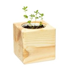 Сувеніри з дерева (29 фото): дерев’яні подарунки своїми руками, ексклюзивні різьблені презенти ручної роботи з червоного дерева