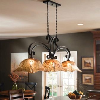 Світильники для кухні (74 фото): кухонні бра настінні сенсорні світильники, накладні і трекові світильники та плафони, інші варіанти