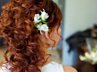 Світло-рудий колір волосся (55 фото): рудуваті відтінки з русявим відливом і інші варіанти. Як отримати потрібний тон і кому він підходить?