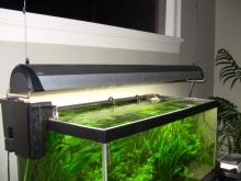 Світлодіодні світильники для акваріума (30 фото): вибираємо LED лампи для акваріумного освітлення, світлодіодний прожектор і лампи Т8. Розрахунок потужності для підсвічування. Як вибрати світлодіоди?