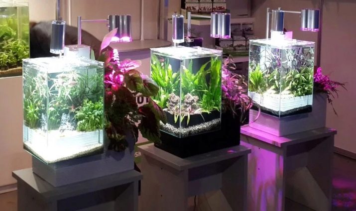 Світлодіодні світильники для акваріума (30 фото): вибираємо LED лампи для акваріумного освітлення, світлодіодний прожектор і лампи Т8. Розрахунок потужності для підсвічування. Як вибрати світлодіоди?