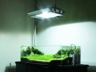Світлодіодні світильники для акваріума (30 фото): вибираємо LED лампи для акваріумного освітлення, світлодіодний прожектор і лампи Т8. Розрахунок потужності для підсвічування. Як вибрати світлодіоди?