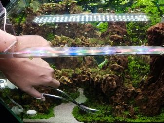 Світлодіодні світильники для акваріума (30 фото): вибираємо LED лампи для акваріумного освітлення, світлодіодний прожектор і лампи Т8. Розрахунок потужності для підсвічування. Як вибрати світлодіоди?