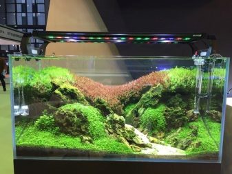 Світлодіодні світильники для акваріума (30 фото): вибираємо LED лампи для акваріумного освітлення, світлодіодний прожектор і лампи Т8. Розрахунок потужності для підсвічування. Як вибрати світлодіоди?