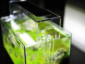 Світлодіодні світильники для акваріума (30 фото): вибираємо LED лампи для акваріумного освітлення, світлодіодний прожектор і лампи Т8. Розрахунок потужності для підсвічування. Як вибрати світлодіоди?