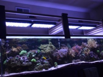 Світлодіодні світильники для акваріума (30 фото): вибираємо LED лампи для акваріумного освітлення, світлодіодний прожектор і лампи Т8. Розрахунок потужності для підсвічування. Як вибрати світлодіоди?