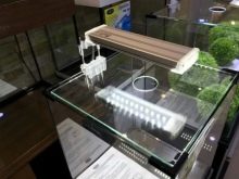 Світлодіодні світильники для акваріума (30 фото): вибираємо LED лампи для акваріумного освітлення, світлодіодний прожектор і лампи Т8. Розрахунок потужності для підсвічування. Як вибрати світлодіоди?