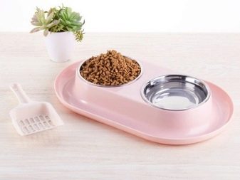 Тій-фокстер’єр: опис породи американський тій-фокстер’єр, чорні і коричневі тер’єри