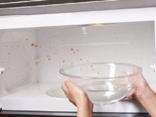 Тарілки для мікрохвильової печі: як підібрати скляний піддон для СВЧ від LG, Samsung та інших виробників? Розміри тарілок