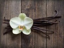 Тарілки для мікрохвильової печі: як підібрати скляний піддон для СВЧ від LG, Samsung та інших виробників? Розміри тарілок