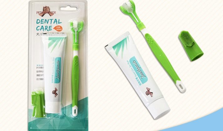 Тайські риджбеки (79 фото): опис породи, особливості характеру цуценят і дорослих собак, відгуки власників риджбеків