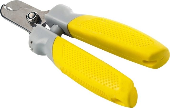 Тайські риджбеки (79 фото): опис породи, особливості характеру цуценят і дорослих собак, відгуки власників риджбеків