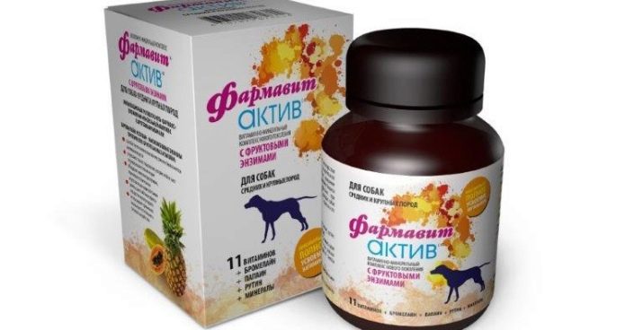 Тайські риджбеки (79 фото): опис породи, особливості характеру цуценят і дорослих собак, відгуки власників риджбеків