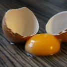 Тайські риджбеки (79 фото): опис породи, особливості характеру цуценят і дорослих собак, відгуки власників риджбеків