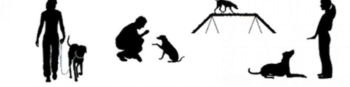 Тайські риджбеки (79 фото): опис породи, особливості характеру цуценят і дорослих собак, відгуки власників риджбеків