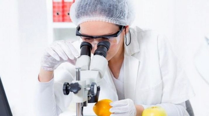 Технік-технолог: що це за професія, зарплата і обов’язки в сфері громадського харчування, нафтогазової галузі, харчової промисловості та інших галузях, навчання