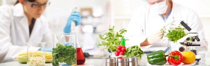 Технолог харчової промисловості: особливості роботи на харчовому виробництві, де вчитися на професію, зарплата і посадова інструкція