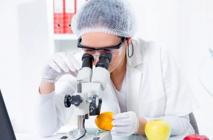 Технолог харчової промисловості: особливості роботи на харчовому виробництві, де вчитися на професію, зарплата і посадова інструкція