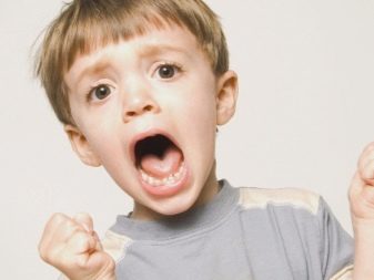 Темперамент дитини: як визначити свій тип? Характеристика сангвініка дошкільного віку, особливості темпераменту і тест на визначення характеру