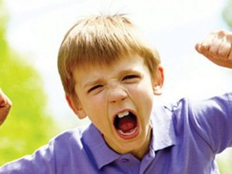 Темперамент дитини: як визначити свій тип? Характеристика сангвініка дошкільного віку, особливості темпераменту і тест на визначення характеру