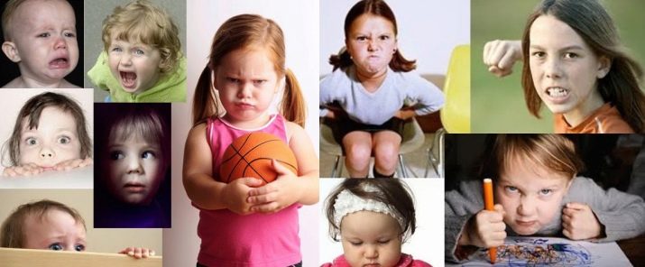 Темперамент дитини: як визначити свій тип? Характеристика сангвініка дошкільного віку, особливості темпераменту і тест на визначення характеру