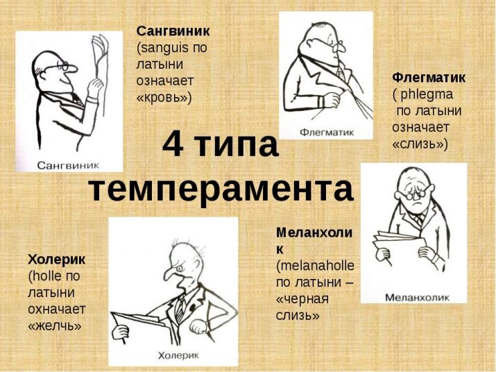Темперамент дитини: як визначити свій тип? Характеристика сангвініка дошкільного віку, особливості темпераменту і тест на визначення характеру