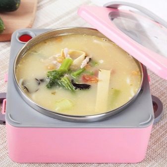 Термо-ланч-бокс: як вибрати подвійний термос для їжі, який зберігає тепло? Особливості термостійких ланч-боксів з нержавіючої