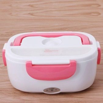 Термо-ланч-бокс: як вибрати подвійний термос для їжі, який зберігає тепло? Особливості термостійких ланч-боксів з нержавіючої