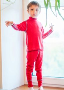 Термобілизна Janus: вибираємо дитячі, жіночі та чоловічі комплекти, термошкарпетки і термоколготки. Як носити і доглядати?