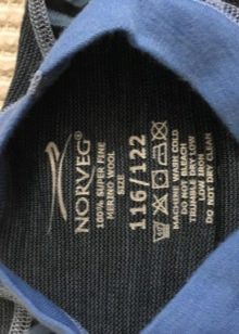 Термобілизна з вовни мериноса: огляд жіночого і чоловічого термобілизни для холодної погоди, особливості норвезьких і фінських моделей