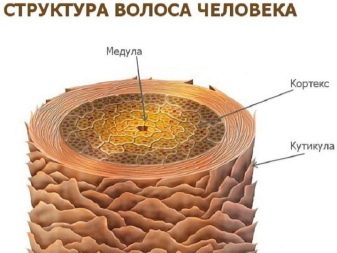 Термозахист для волосся від праски: кращі засоби для захисту при випрямленні волосся в домашніх умовах. Відгуки