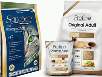 Триколірна кішка (44 фото): у кошенят яких порід буває черепахова забарвлення шерсті? Можуть коти бути триколірними? Як назвати кошеня?