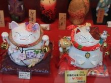 Триколірна кішка (44 фото): у кошенят яких порід буває черепахова забарвлення шерсті? Можуть коти бути триколірними? Як назвати кошеня?