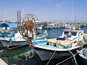 Триколірна кішка (44 фото): у кошенят яких порід буває черепахова забарвлення шерсті? Можуть коти бути триколірними? Як назвати кошеня?