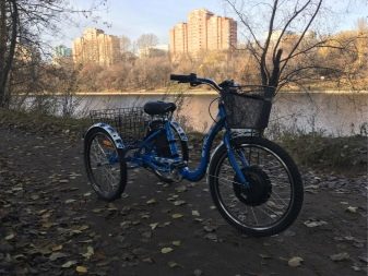 Триколісні електровелосипеди: огляд дитячих і дорослих електричних велосипедів, особливості велосипедів-трициклів для літніх людей