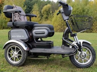 Триколісні електровелосипеди: огляд дитячих і дорослих електричних велосипедів, особливості велосипедів-трициклів для літніх людей