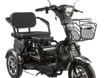 Триколісні електровелосипеди: огляд дитячих і дорослих електричних велосипедів, особливості велосипедів-трициклів для літніх людей