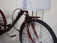 Триколісні електровелосипеди: огляд дитячих і дорослих електричних велосипедів, особливості велосипедів-трициклів для літніх людей